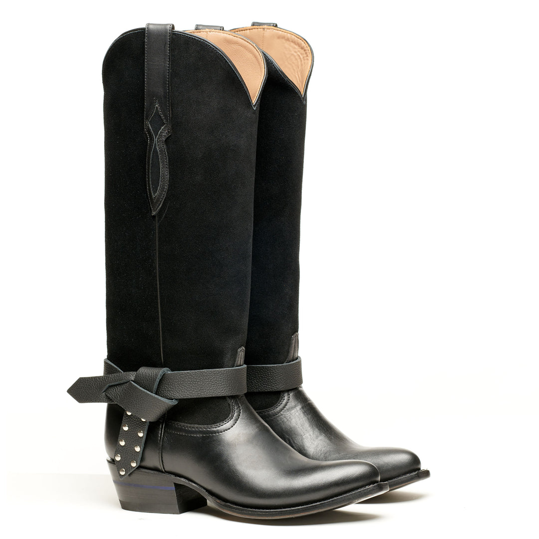 Friesian Dressage Black